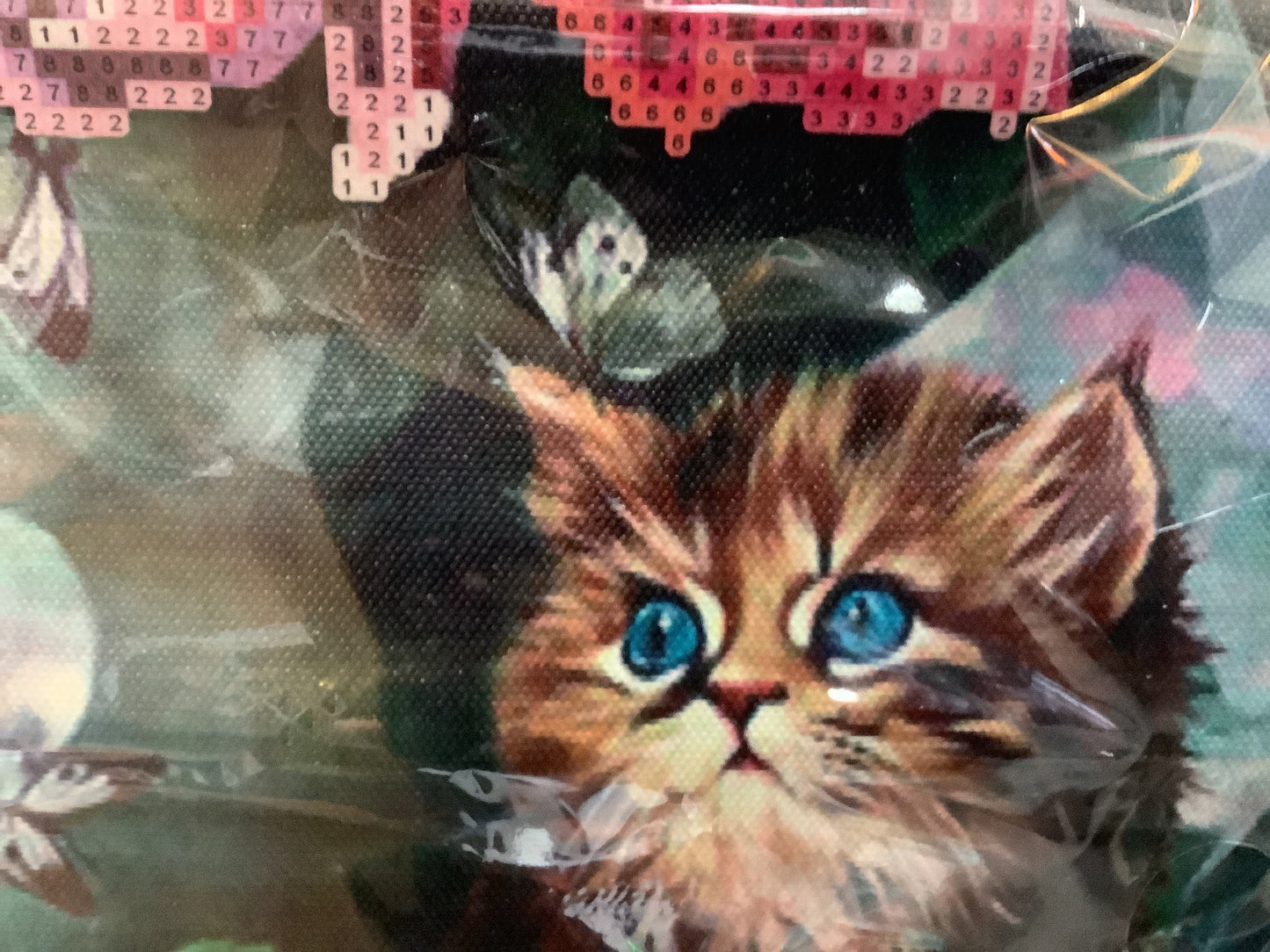 Diamond Painting kit