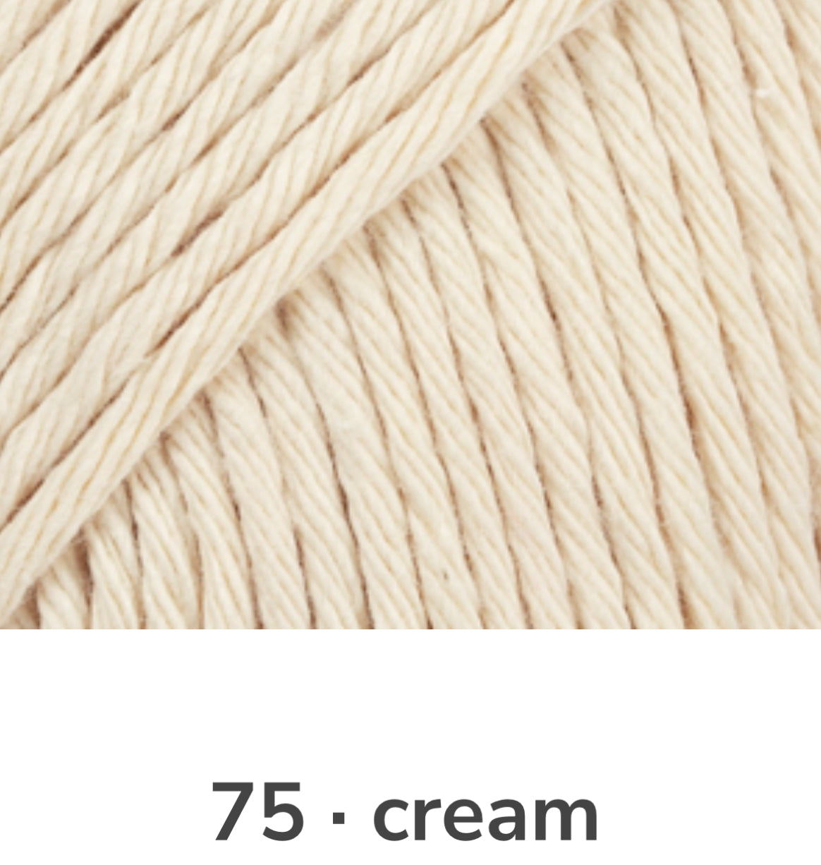 Drops Paris 100% Cotton