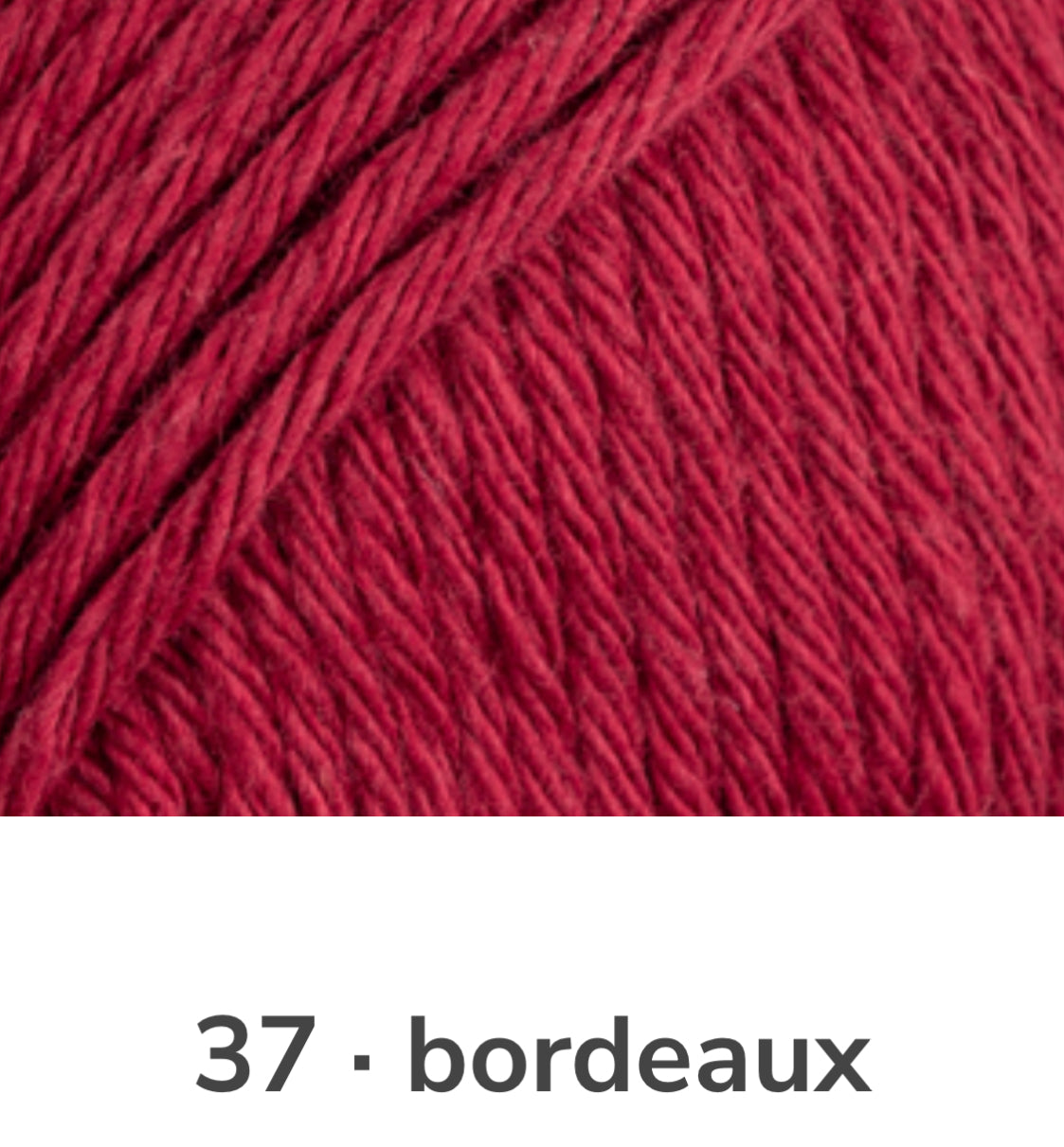 Drops Paris 100% Cotton