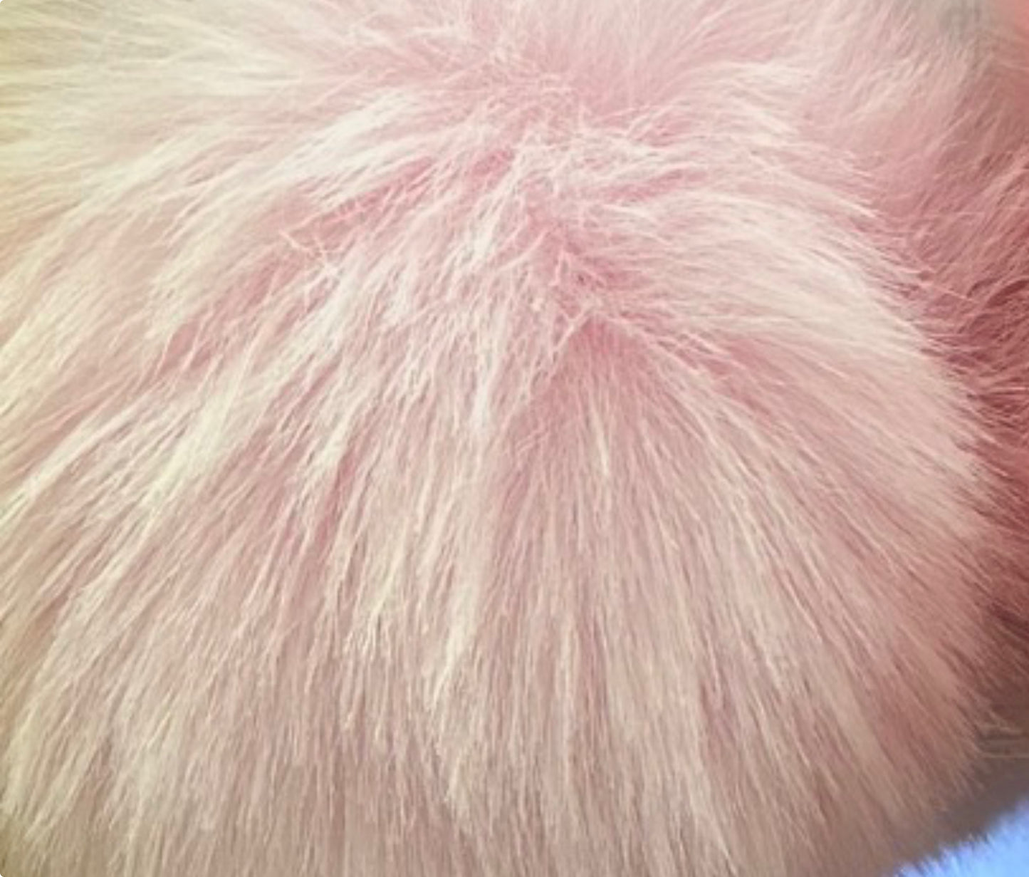 Fluffy Pom Pom Faux with ribbon