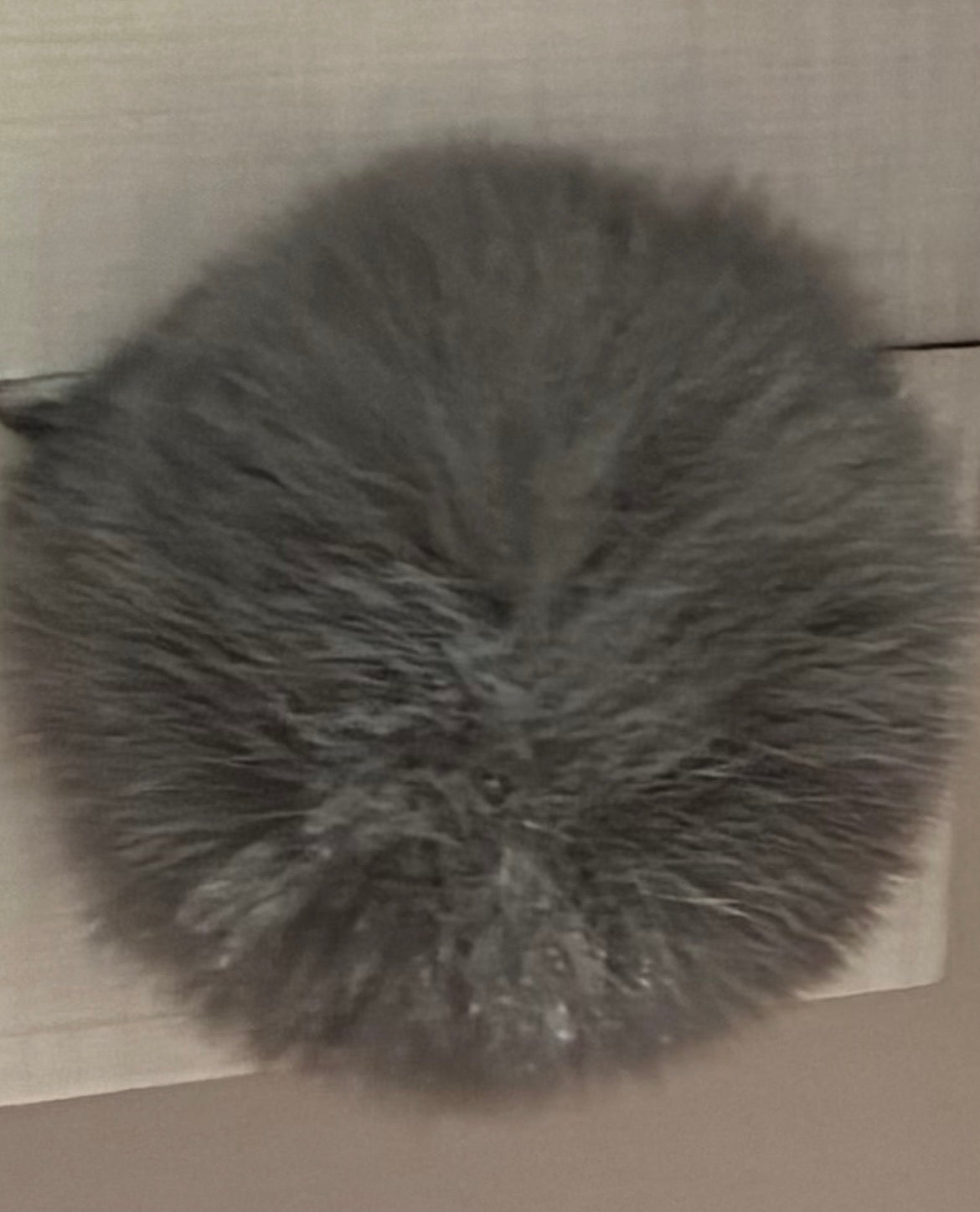 Fluffy Pom Pom Faux with ribbon